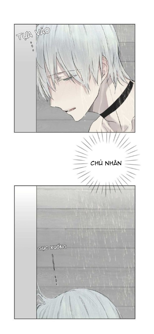 [ Manhwa ] Người Hầu Hoàng Gia